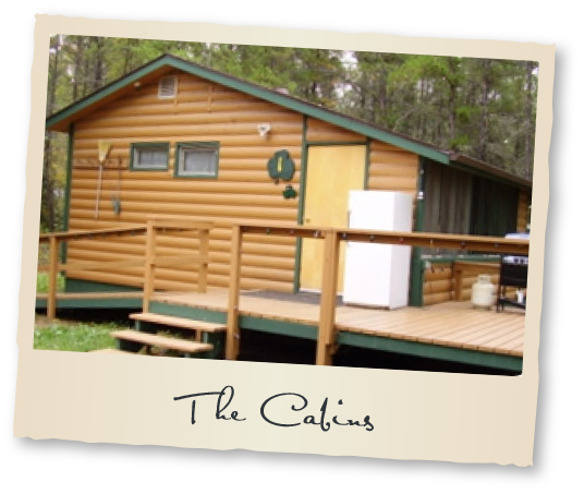 The Cabins at Tobin Lake Fishing Vacation Rentals Nipawin Regional Park Saskatchewan Canada