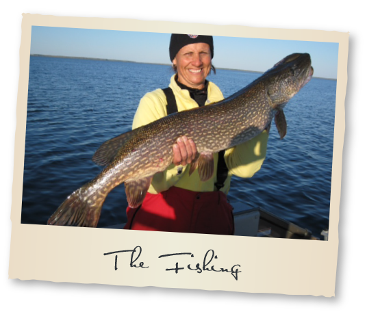 The Fishing at Tobin Lake Fishing Vacation Rentals Nipawin Regional Park Saskatchewan Canada