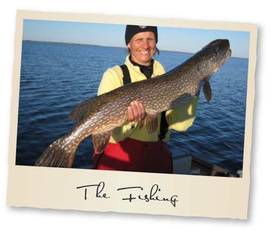 The Fishing at Tobin Lake Fishing Vacation Rentals Nipawin Regional Park Saskatchewan Canada